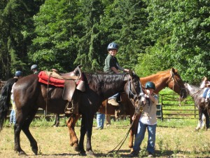 Graham horse
