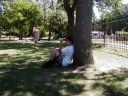 p7040062.html